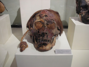 頭蓋骨トロフィー